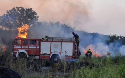 LOS BOMBEROS DE MERLO TRABAJARON 12 HORAS EN UN INCENDIO