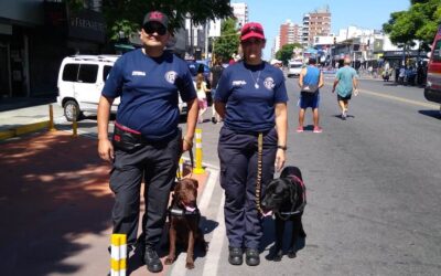CONOCÉ A LA BRIGADA K9 DE LOS BOMBEROS VOLUNTARIOS DE MERLO