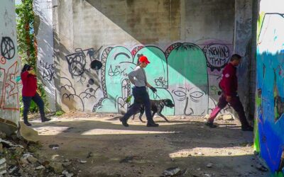 JORNADA FEDERATIVA – ENTRENAMIENTO BRIGADA K9